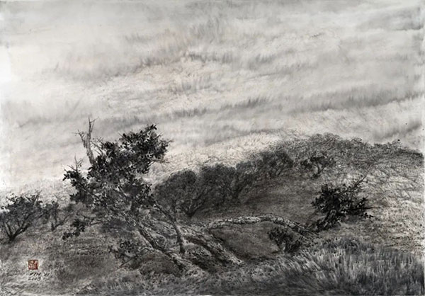 1701664062518496.jpg 2023120411213440922346.jpg