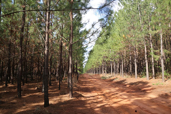 1701849920482857.jpg 55c459a51591ac905124204520aabcad.jpg