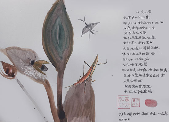 1706785049311753.jpg image8-(1).jpg