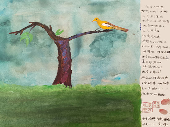 1706785104138635.jpg a271c5d0-da18-4f10-a67d-b95b63c066c2.jpg