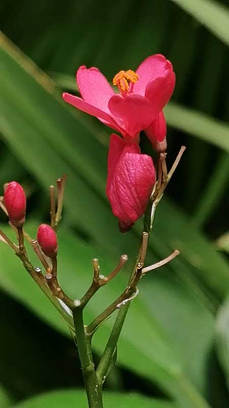 1706857825834247.jpg image7-(1).jpg