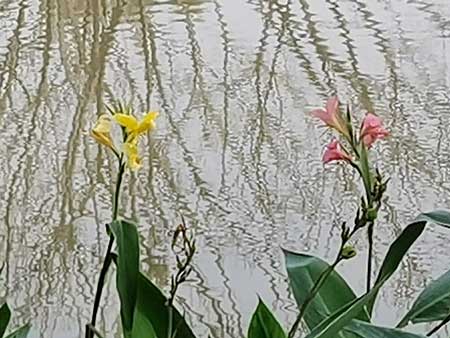 1706857849117054.jpg image9-(1).jpg