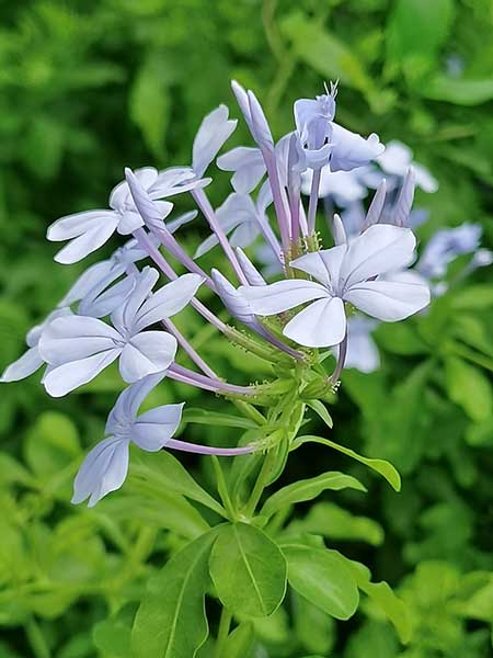 1706857857510400.jpg image10-(1).jpg