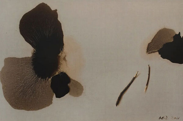 1711629799104894.jpg 202403281642351396417658.jpg