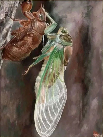 1723204570625299.jpg 20240808150808449783356.jpg