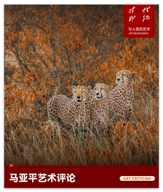 1735275098144065.jpg 202412271215071717351955.jpg