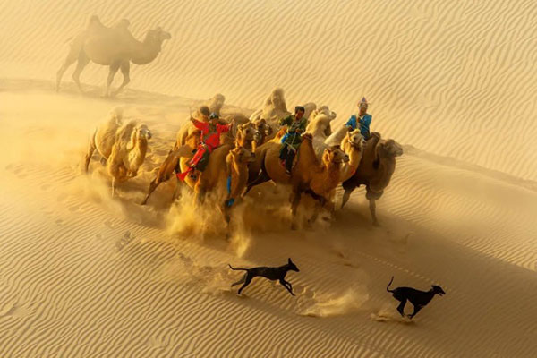 1735275110160610.jpg 202412271215081940618111.jpg