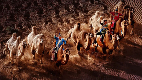 1735275119657250.jpg 20241227121508883101484.jpg