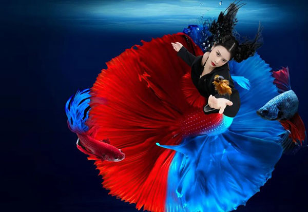 1735275155395447.jpg 20241227121508447931154.jpg