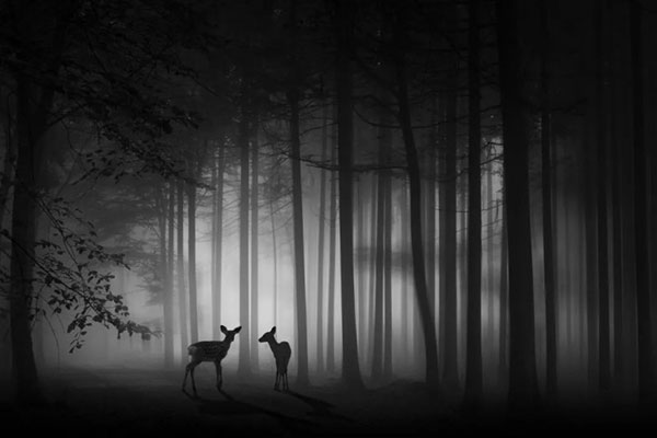 1735275173293214.jpg 202412271215091574476279.jpg