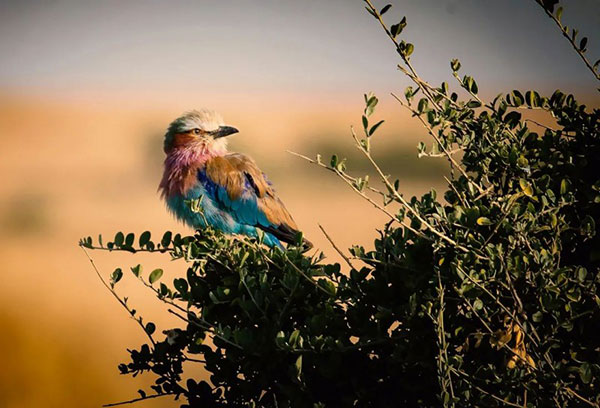 1735275186476240.jpg 202412271215091272832324.jpg