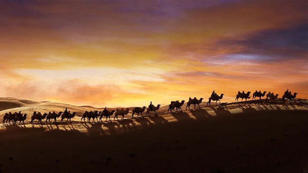 1735275192176394.jpg 202412271215091256835662.jpg