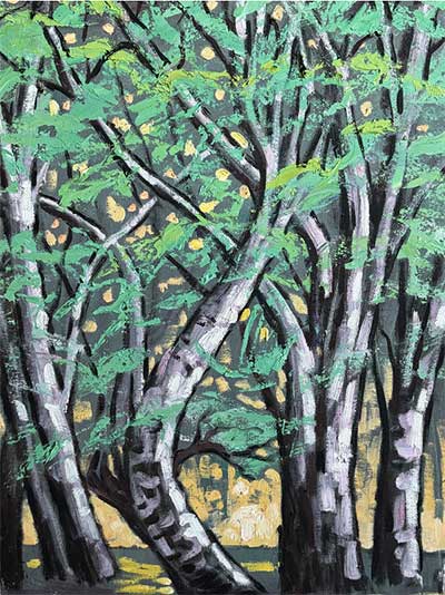 1736446080611376.jpg 20250109235740820217915.jpg