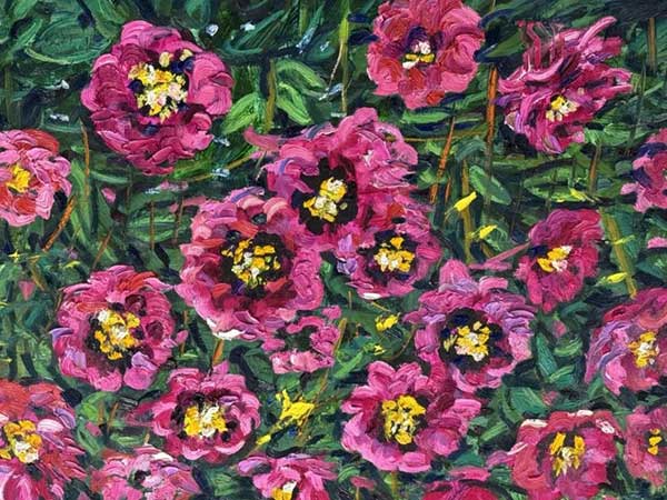 1736446543105074.jpg 202501092357451593746878.jpg