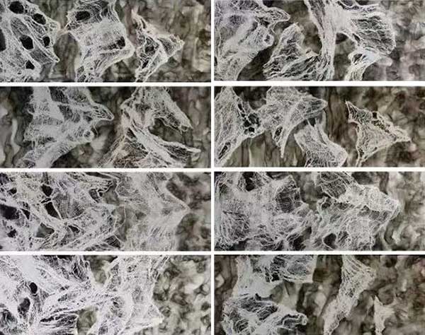 1736849514466298.jpg 202501141128041732320901.jpg