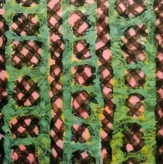 1736849545151560.jpg 202501141128051303171033.jpg