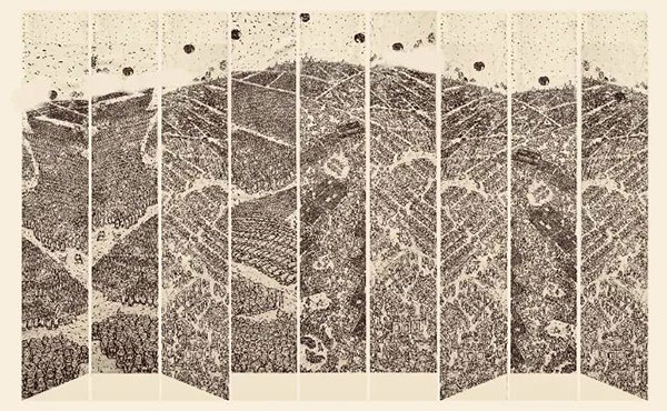 1746623871413877.jpg 44a9b6a06600f39877d87243e15f4218.jpg